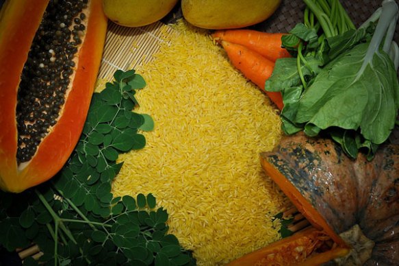 golden-rice-about2